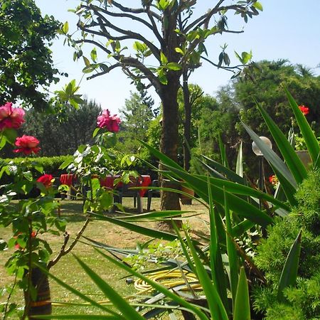 Park Hotel Galileo Reggello Dış mekan fotoğraf