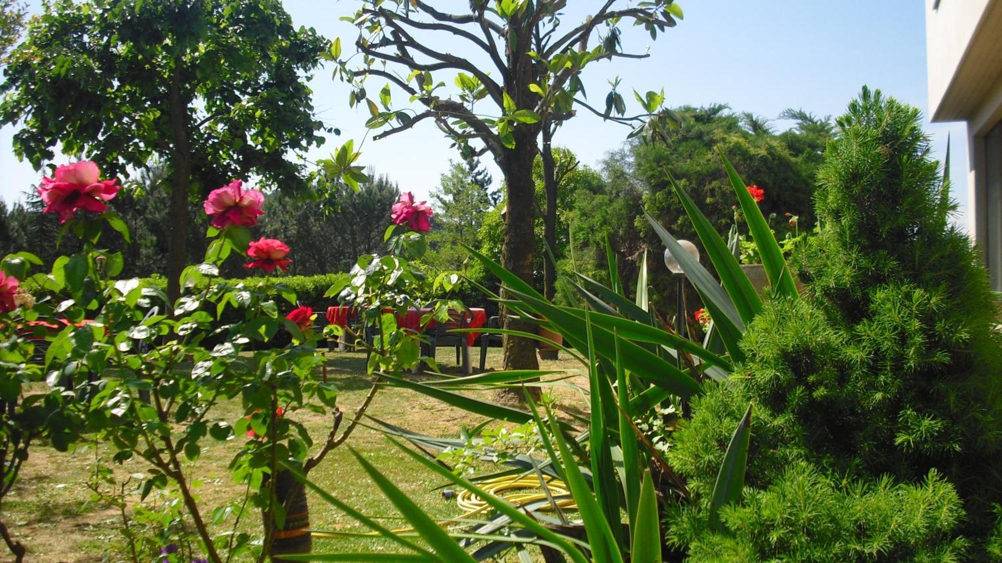 Park Hotel Galileo Reggello Dış mekan fotoğraf