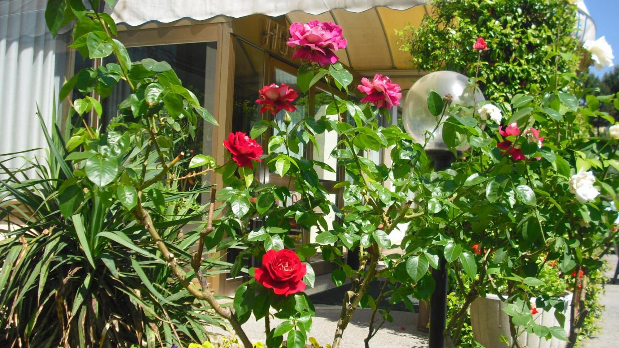 Park Hotel Galileo Reggello Dış mekan fotoğraf